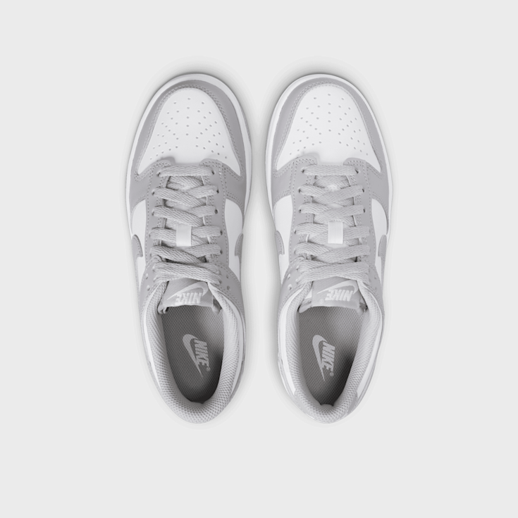 dunk-low-grise-249tlp.png